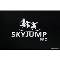 Батут Skyjump Pro 312 см - 10ft (с внешней сеткой и лестницей)