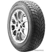 Зимние шины Rosava WQ-102 195/65R15 91S