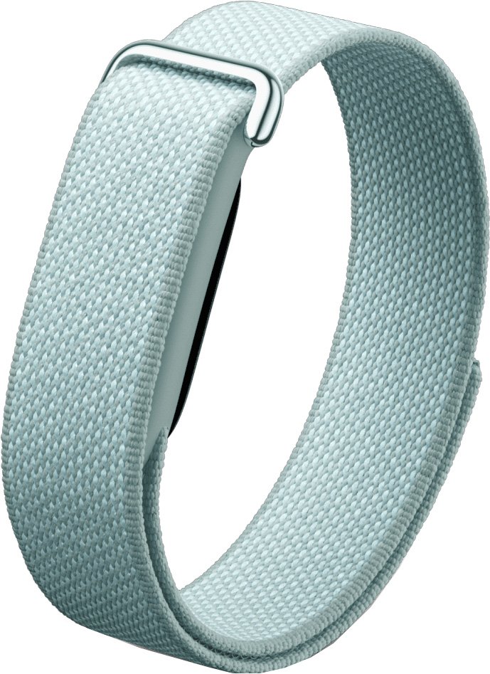 

Фитнес-браслет Google Fitbit Air (туманный)