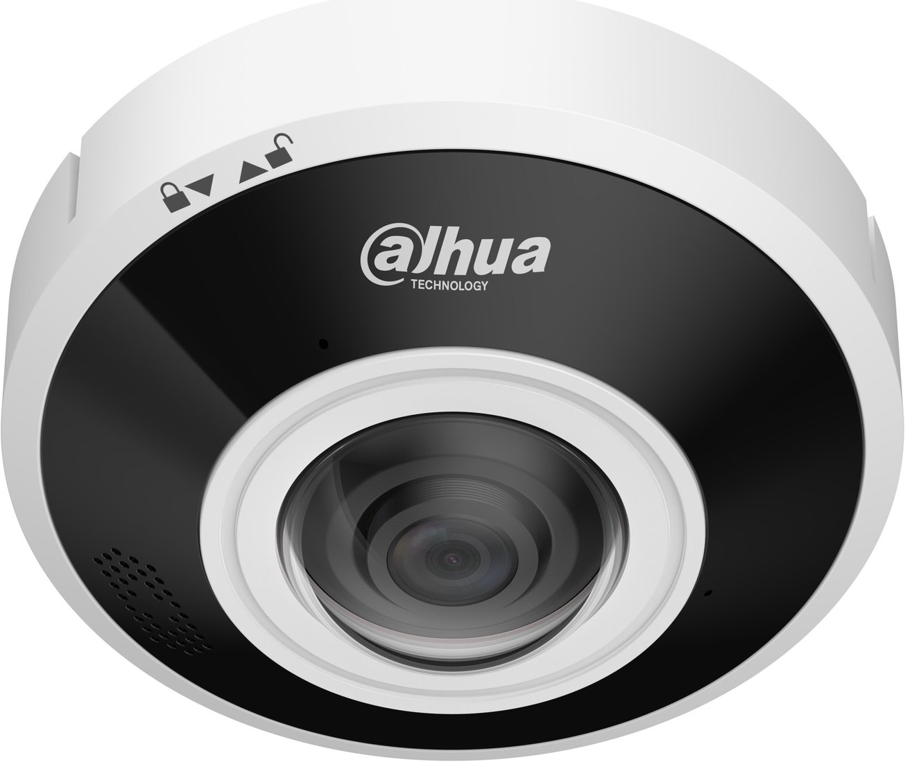 IP-камера Dahua DH-IPC-EBW5641-AS