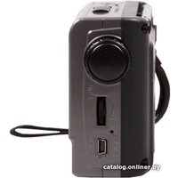Радиоприемник Ritmix RPR-151