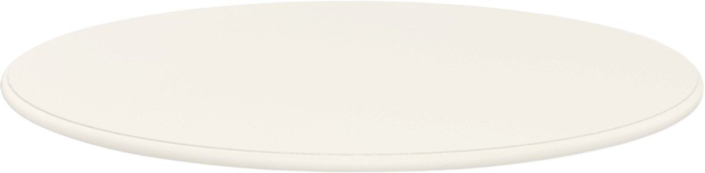 

Столешница Sheffilton SHT-TT 76 (металл белый)