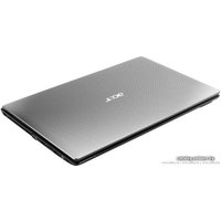 Ноутбук Acer Aspire 5551G-P324G64Mn (LX.PUU0C.023)