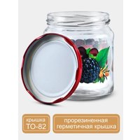 Набор контейнеров Promsiz Ягоды с крышкой Р22б.77.6.450/ДКЯ (450мл, 6шт)