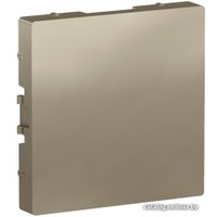 Декоративная заглушка Schneider Electric W59 SP-50-48