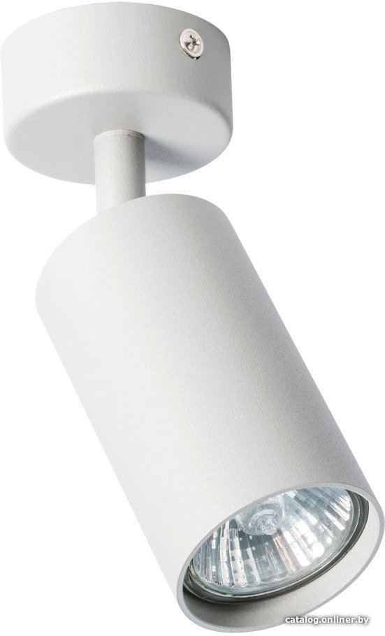 Спот Arte Lamp Aquarius A3216PL-1GY