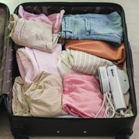 Отпариватель Bort Travel