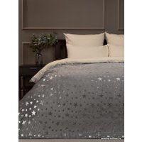 Плед Tex Republic Shick Звезды лазер Евро 93437 (серебристый/серый)