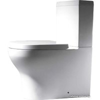 Унитаз напольный Bravat Rael CX01016UW-PA-RUS+CY01016W-PA-RUS