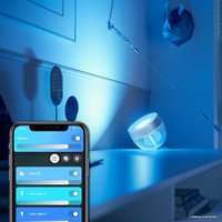 Ночник Philips Hue Iris (серебристый)