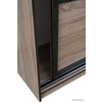 Шкаф-купе Евва 21 TTG.03 АЭП ШК.3 02 (дуб трюфель/венге глянец) в Бобруйске