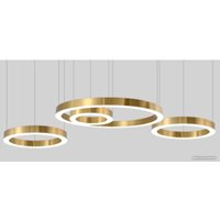 Подвесная люстра ImperiumLoft Light ring horizontal 40.1454-120 177925-22