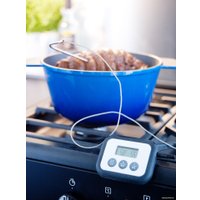 Термощуп Ikea Фантаст 201.030.16