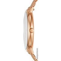 Наручные часы Skagen SKW2732