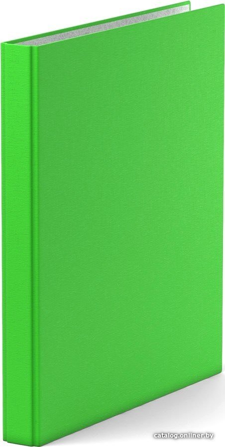 Папка-регистратор Erich Krause Neon 35 мм на 4 кольцаx 39061 (зеленый)