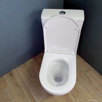 Унитаз напольный Teymi Lina T40103