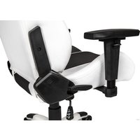 Игровое (геймерское) кресло AKRacing Arctica (белый/черный) в Орше