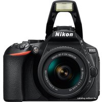 Зеркальный фотоаппарат Nikon D5600 Kit 18-55mm AF-P DX VR