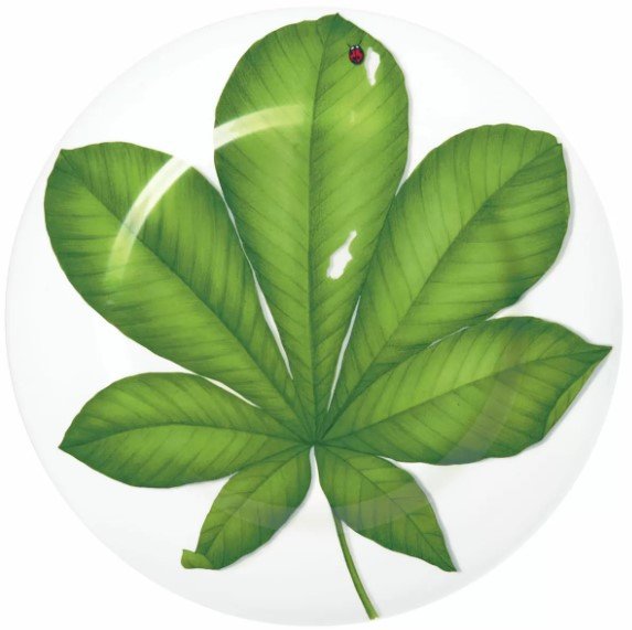 

Блюдо Taitu Freedom Leaf 1-86-D