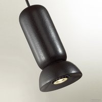 Подвесная люстра Odeon Light Kerama 5054/1D