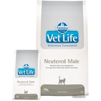 Сухой корм для кошек Farmina Vet Life Neutered Male 10 кг
