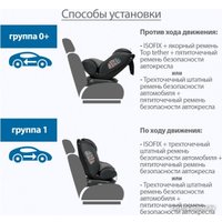 Детское автокресло Kitelli Stello Isofix ST-3 (коричневый)