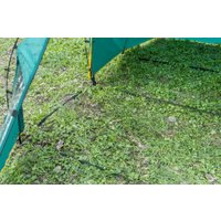 Кемпинговая палатка Coyote Oregon-3 (зеленый)