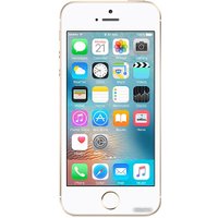 Телефон Apple iPhone SE 16GB Gold