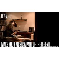 Монитор ближнего поля Tannoy Reveal 402 в Барановичах