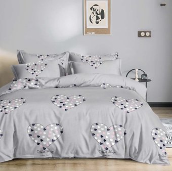 2-спальный комплект постельного белья Alleri Эко Сатин 2сп СС-563