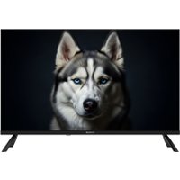 Телевизор Topdevice 32" WILDRED TDWC32BF2110V