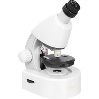 Микроскоп Levenhuk Discovery Micro Polar с книгой 77952