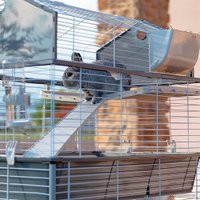 Клетка Ferplast Barn 100 Double 57069611