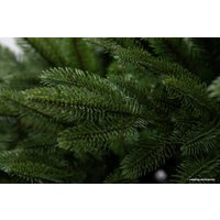Ель GreenTerra Калифорнийская 1.8 м