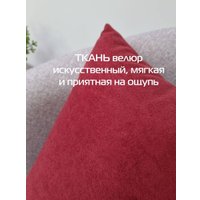 Декоративная подушка Matex Velours 49-814 (2шт, бордовый)