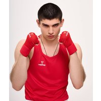 Перчатки для бокса Insane Dash IN24-IG100 (S, красный)