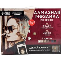 Алмазная мозаика  Школа талантов Vintage 10699407