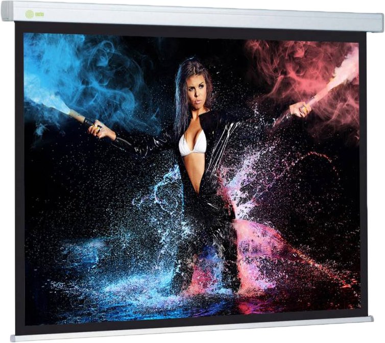 

Проекционный экран CACTUS Wallscreen CS-PSW-168x299