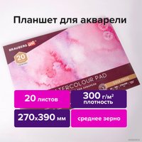 Планшет для акварели BRAUBERG Art Premiere 113248 (20 л)