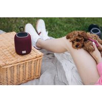 Беспроводная колонка Canyon BSP-8 (бордовый)