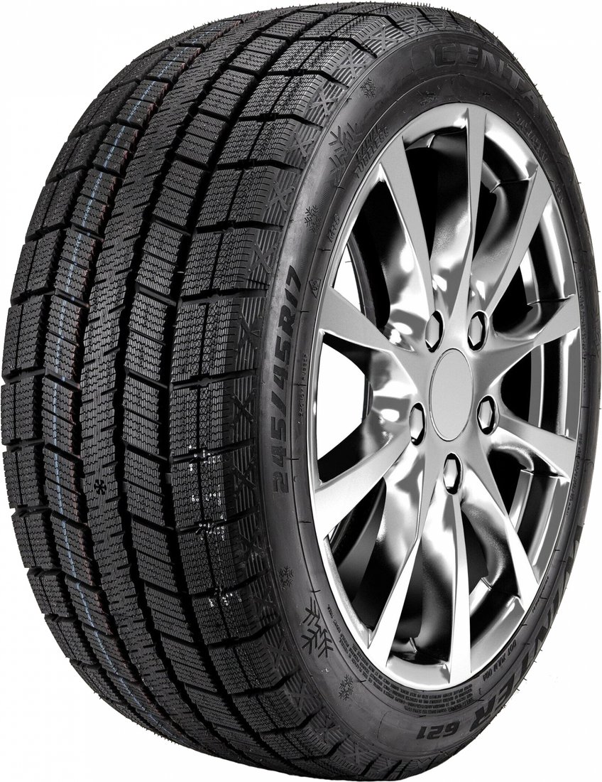 

Зимние шины Centara Winter RX621 195/65R15 91T