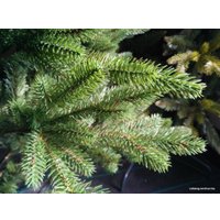 Ель GreenTerra Аляска Слим 1.8 м