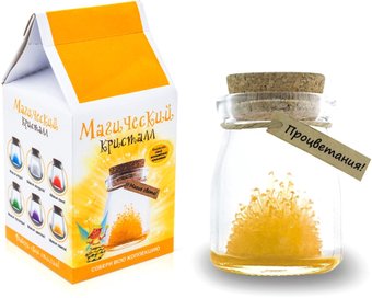 Набор для опытов Волшебный кристалл Магический кристалл. Магия света m6