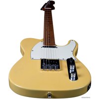 Электрогитара JET JT-300 BTS