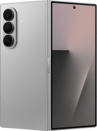 Samsung Galaxy Z Fold7 SM-F966B/DS 12GB/512GB (серебристый)