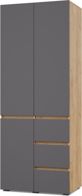 

Шкаф распашной Modern Тифани Т24 (золотистый дуб/графит)