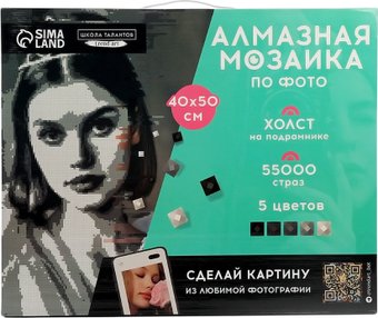 Алмазная мозаика  Школа талантов Gray 10699412