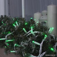 Новогодняя гирлянда Luazon Нить 100 LED 10м (зеленый) 3584100