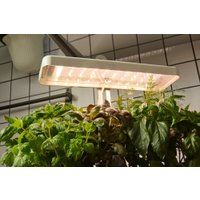 Умный сад CACTUS CS-LEDPOT-08