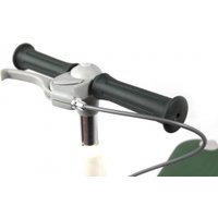 Трехколесный самокат RiverToys HB-T-66 (зеленый)